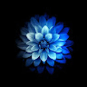 Meet your Posher, Emma jane